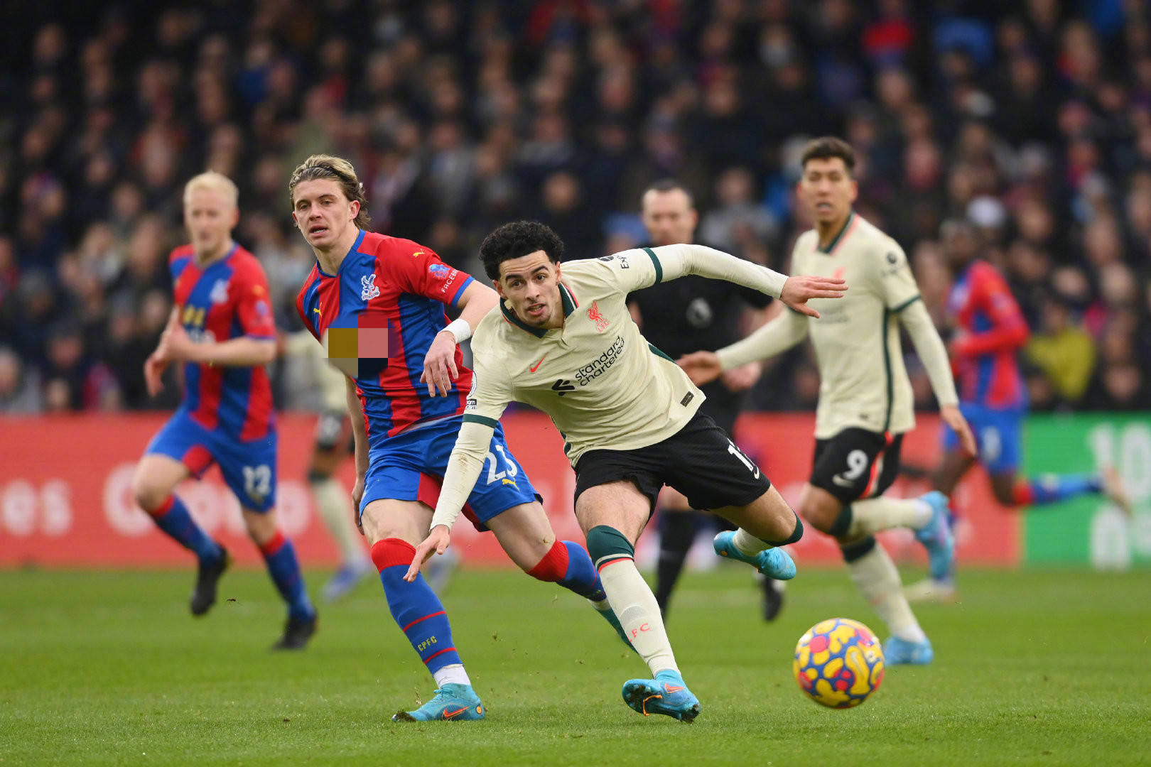 适应新环境 适应新环境